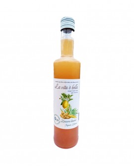 Puro Drink Zenzero e Limone Bio artigianale - bottiglia 500ml - Puro Natura