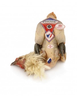Pollo di Bresse DOP maschio Francia - intero 2200g - cartone n.3 pezzi - carne fresca in ATP - Polleria Fratelli Miroglio