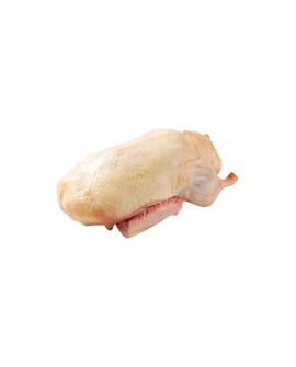 Anatra busto - 1,8kg sottovuoto - carne fresca pregiata, Quack Italia